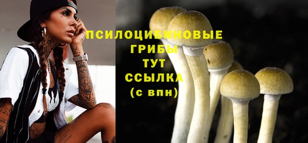 бутират Аркадак