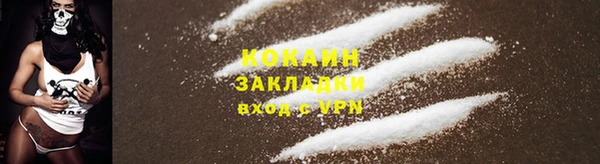 крисы Арсеньев