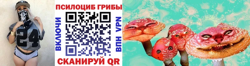 хочу наркоту  Колпашево  kraken рабочий сайт  Галлюциногенные грибы мицелий 